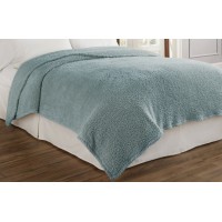 Beautyrest Cosette Ultra Soft Blanket BTY1177